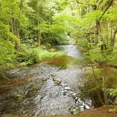 Nebeltal