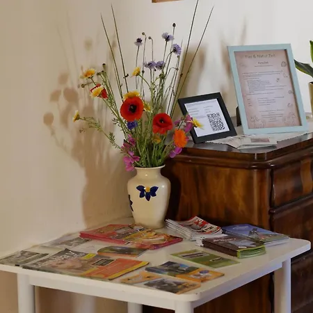 Nebeltal Homestay Kuchelmiss